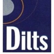 Dilts Strategy Group